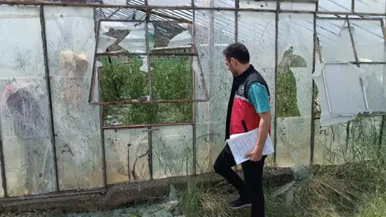 Serik'te Dolu Felaketi: Tarım Ürünleri Zarar Gördü
