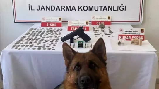 Şiran'da Kaçakçılık Operasyonu: 165 Sikke Ele Geçirildi