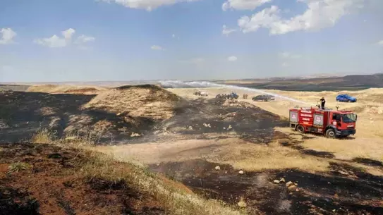 Siirt'te Yangın, Ekili Alanları Vurdu