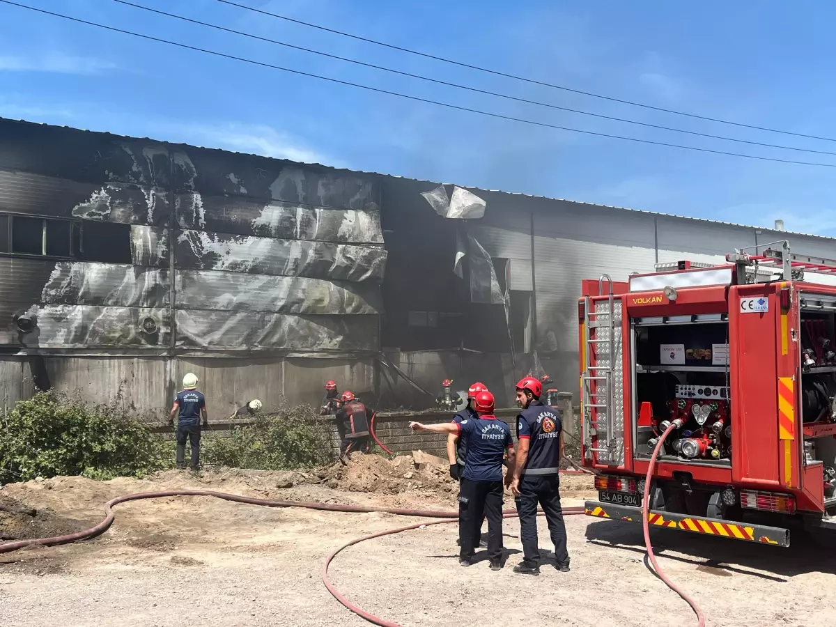 Adapazarı'nda Kontrplak Tesisinde Yangın