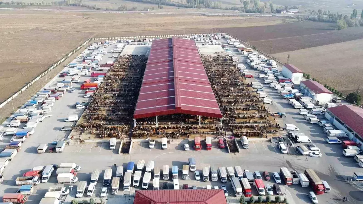 Çoru'da kurban pazarı yarın açılıyor