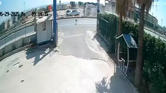 Şanlıurfa'da Sokak Köpeği Zincirleme Kazaya Neden Oldu