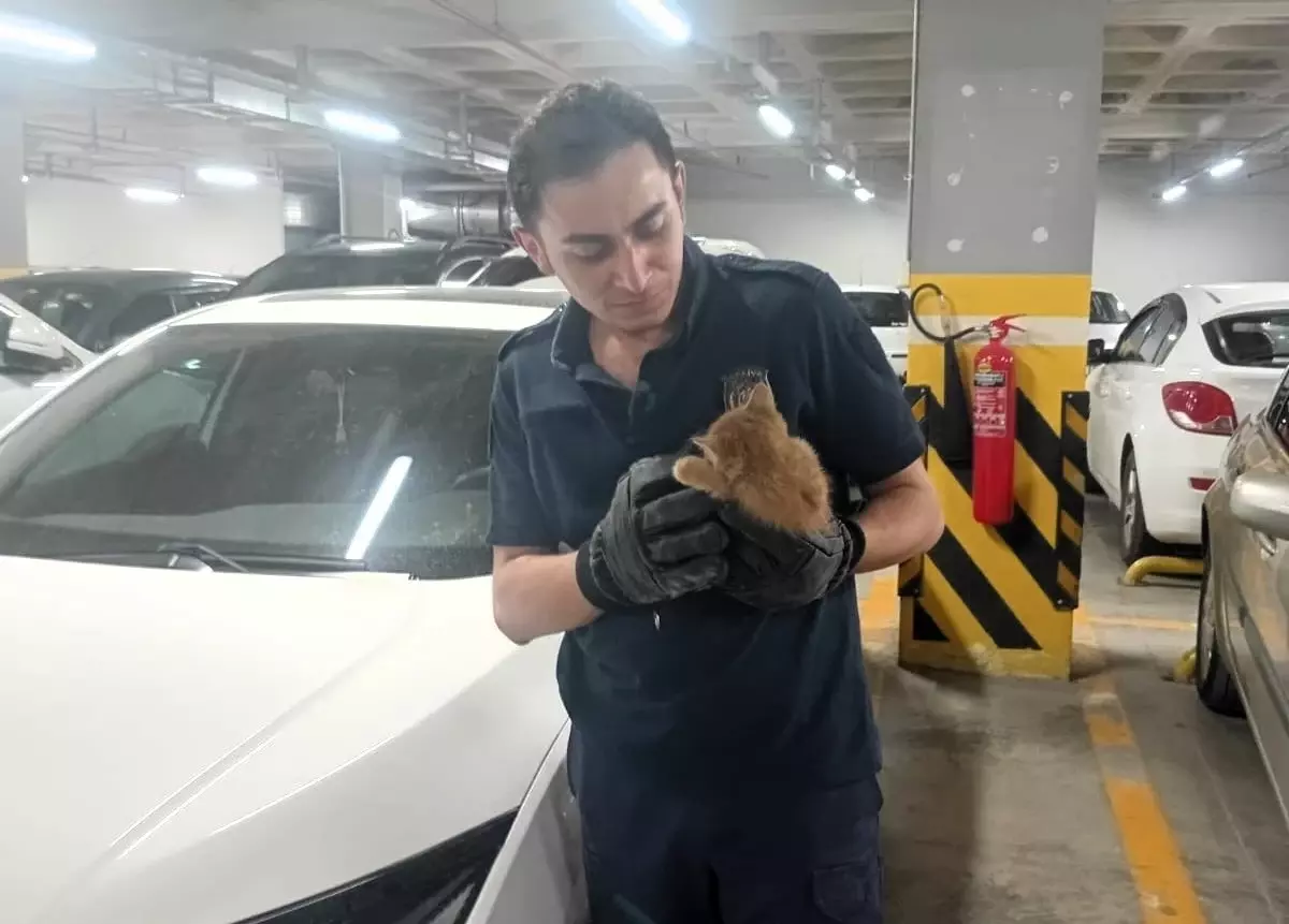 Amasya'da Sıkışan Kedi Yavrusu Kurtarıldı
