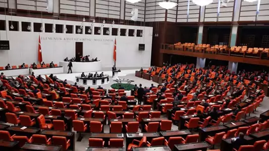 DEM Parti'nin TBMM Başkan adayı belli oldu