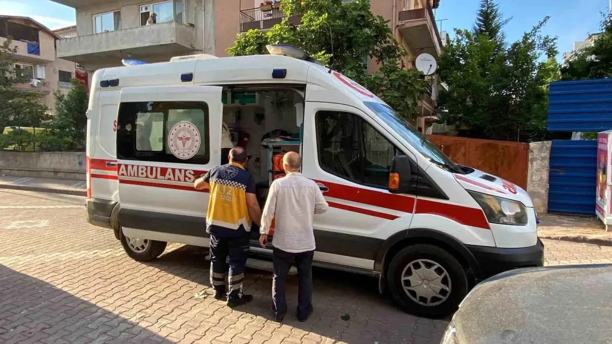 İzmit’te Ihlamur Toplarken Yaralandı