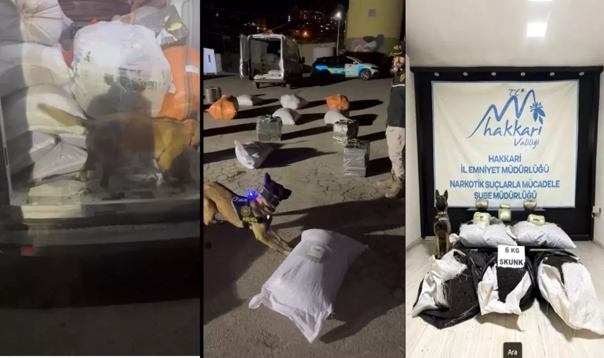 Yüksekova'da Kargo Aracında 6 Kilo Uyuşturucu Ele Geçirildi