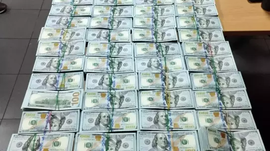 Kapıkule'de 510 bin dolar ve 100 bin euro ele geçirildi