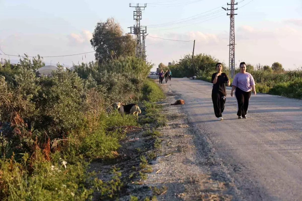 Hatay'da Kuduz Vakası Sonrası Mahallelerde Tedirginlik