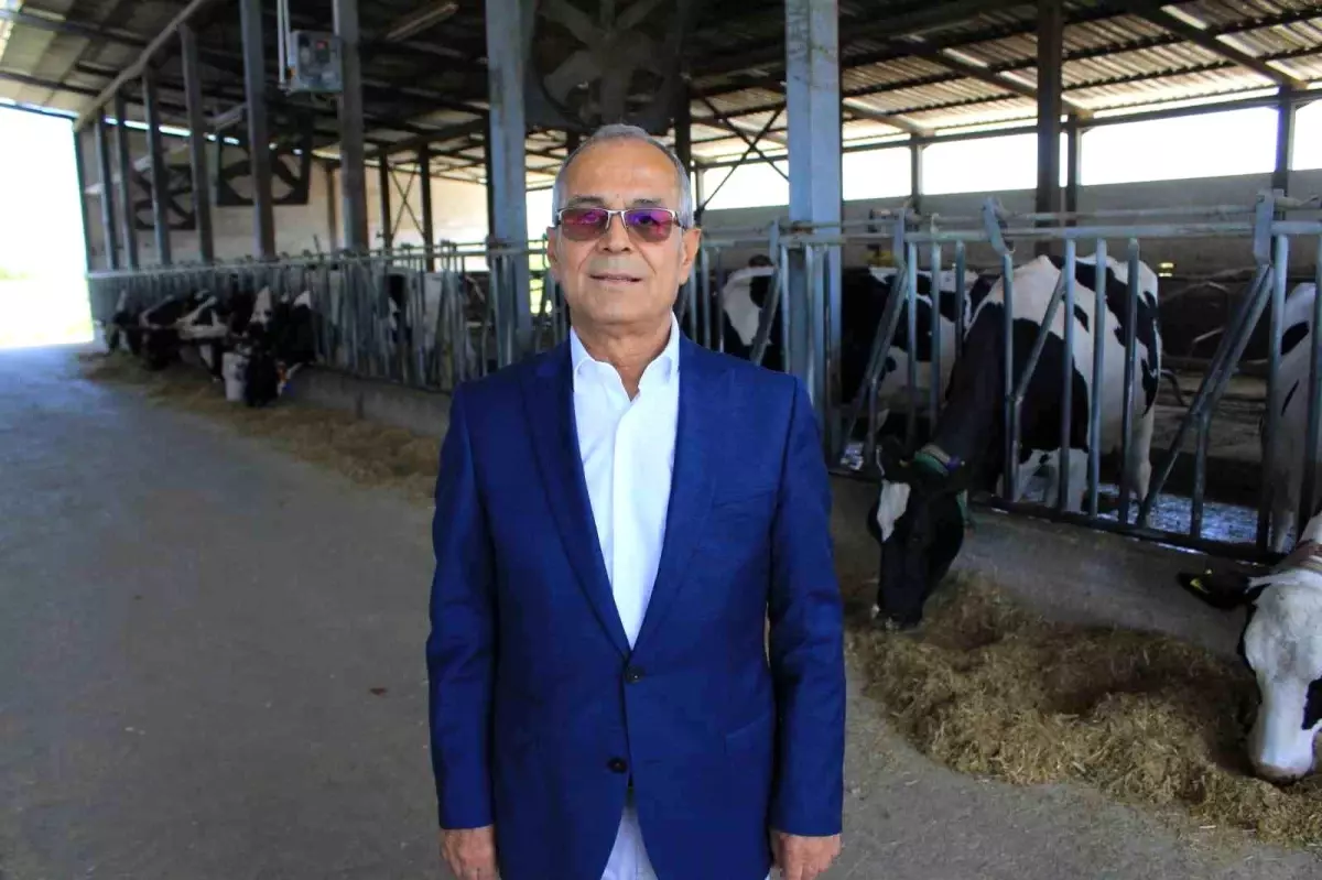Üretim Arttı, Süt Fiyatı Değerlendirilecek