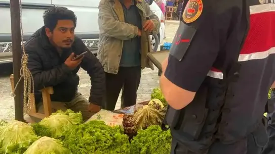 Karpuzlu'da Seyyar Pazarda Denetim