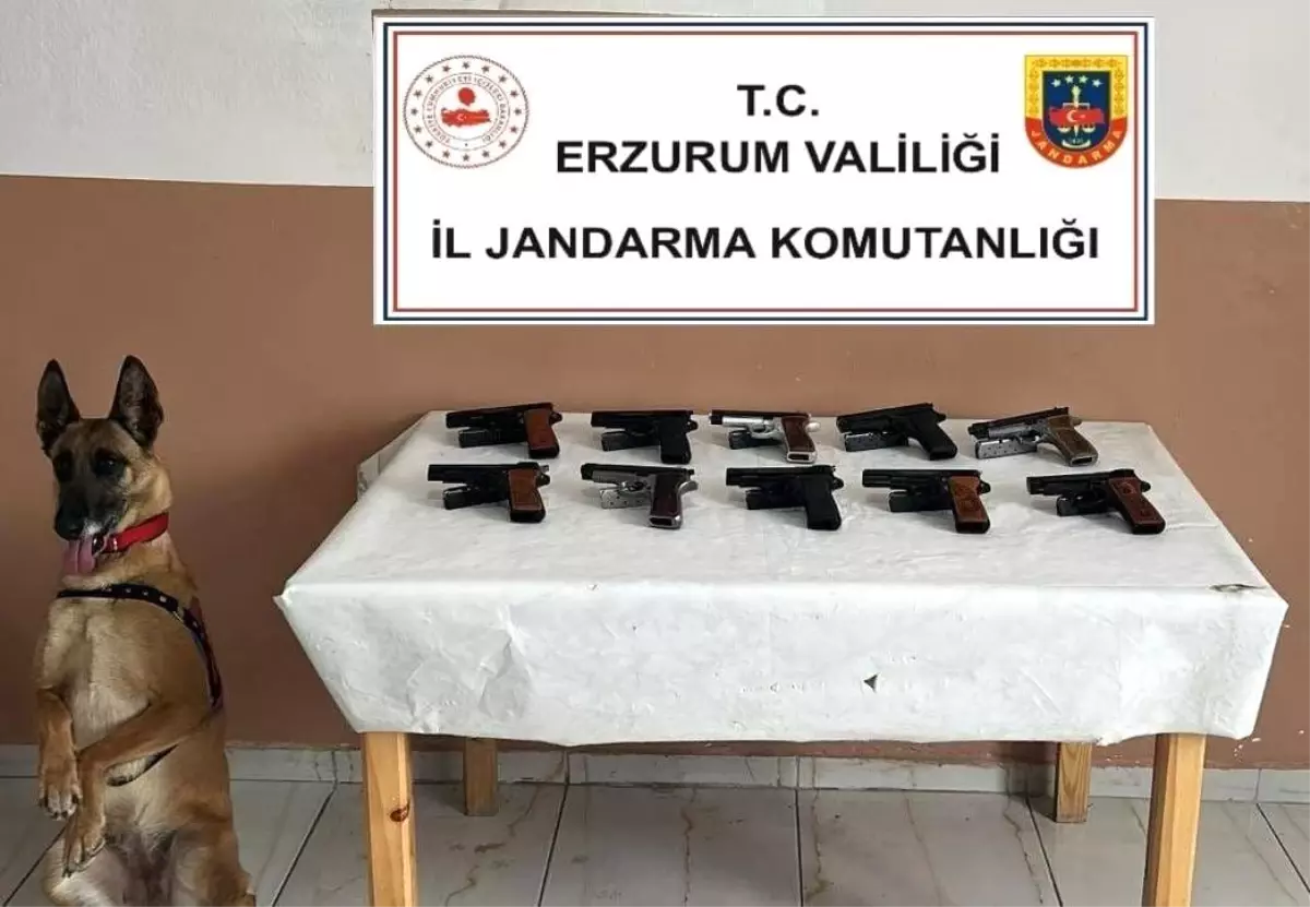 Oltu'da Silah Operasyonu: 1 Gözaltı