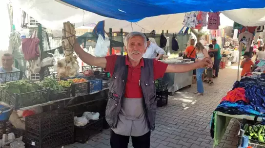 Neşe Kaynağı Pazarcı
