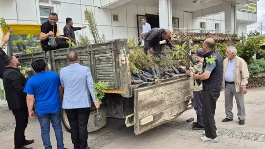 Bahşılı'da 2 Bin Fidan Dağıtımı Yapıldı