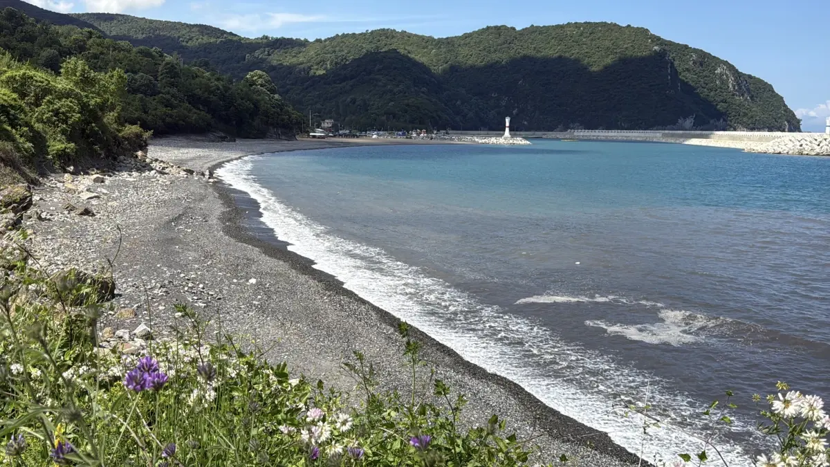 Amasra'da Deniz Kirliliği İncelemesi