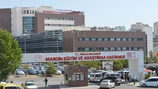 Kızıltepe'de Kayınpeder Cinayeti