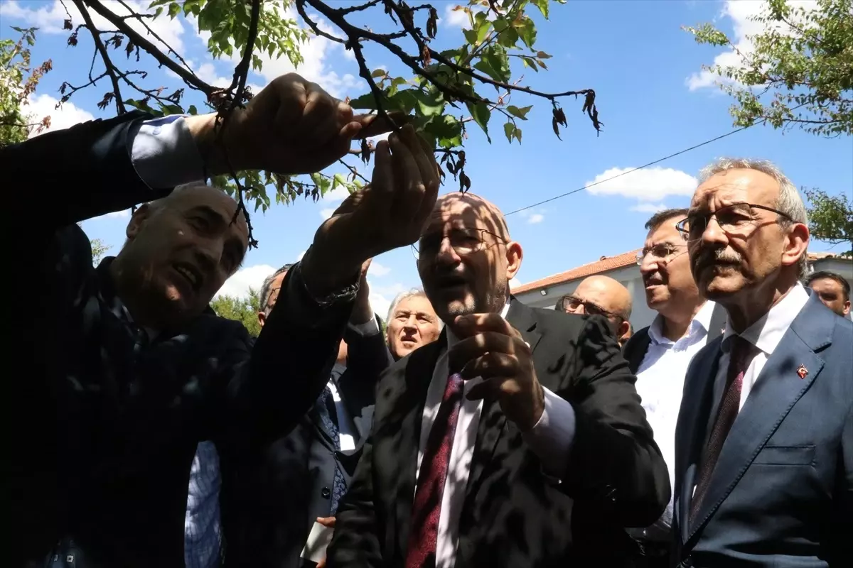 TBMM, Malatya'da Zirai Donu İnceledi