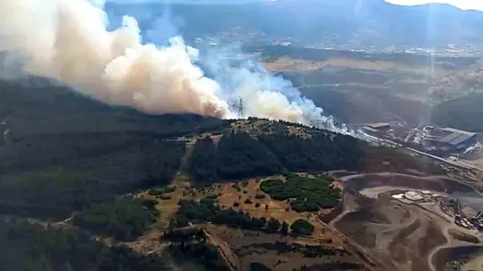 Aliağa'da Orman Yangını