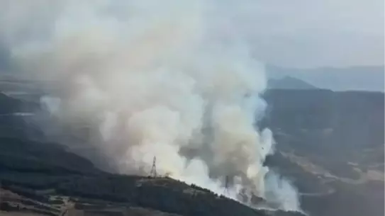 İzmir'de Orman Yangını