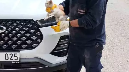 Park Halindeki Cipin Motoruna Sıkışan Yavru Kedi Kurtarıldı