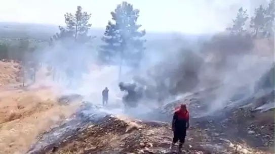 Birecik'te İki Yangın: Sigara İzmariti Nedeniyle