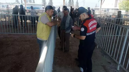 Çine'de Hayvan Pazarında Güvenlik Denetimi