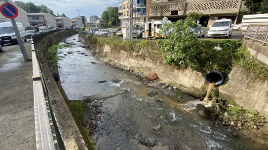 Rize'de Balık Ölümleri Panik Yarattı