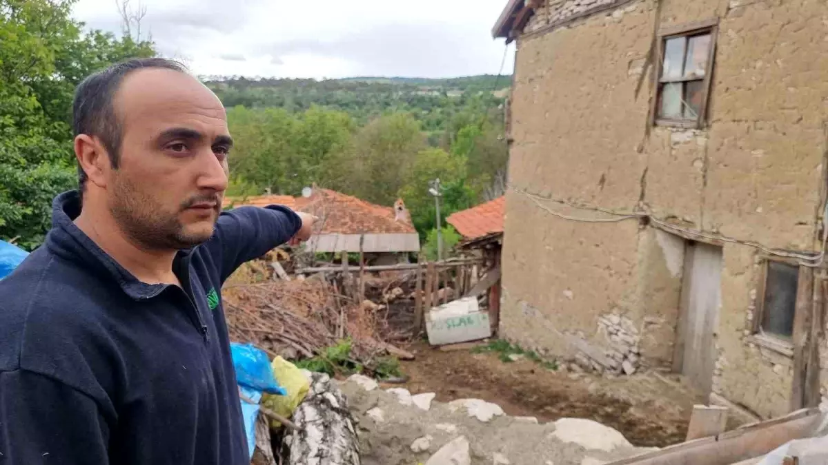 Kurt Saldırısı Koyunları Vurdu