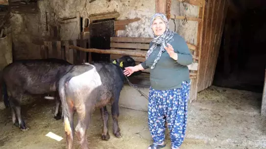 Eskişehir'de Kırsal Kalkınma İçin Yerel Üreticilere Destek