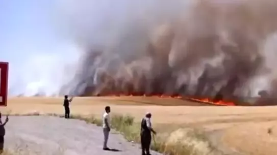 Diyarbakır'da Yangın: 1000 Dönüm Tarla Kül Oldu