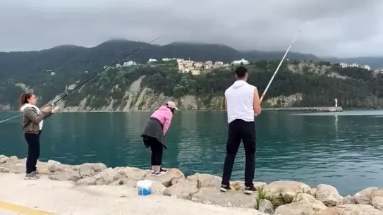 Amasra'da Balık Avı Coşkusu