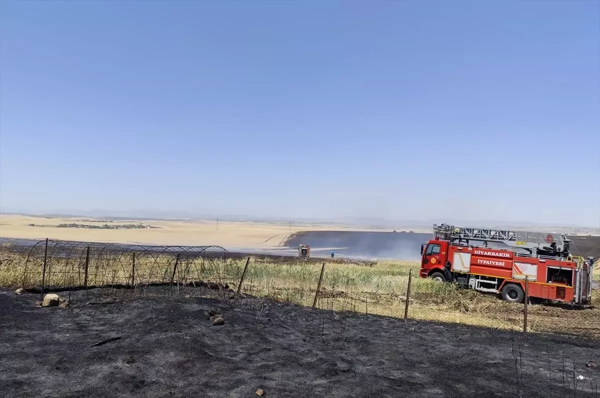 Diyarbakır'da Tarım Arazisinde Yangın