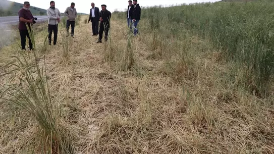 Yozgat'ta Dolu Felaketi