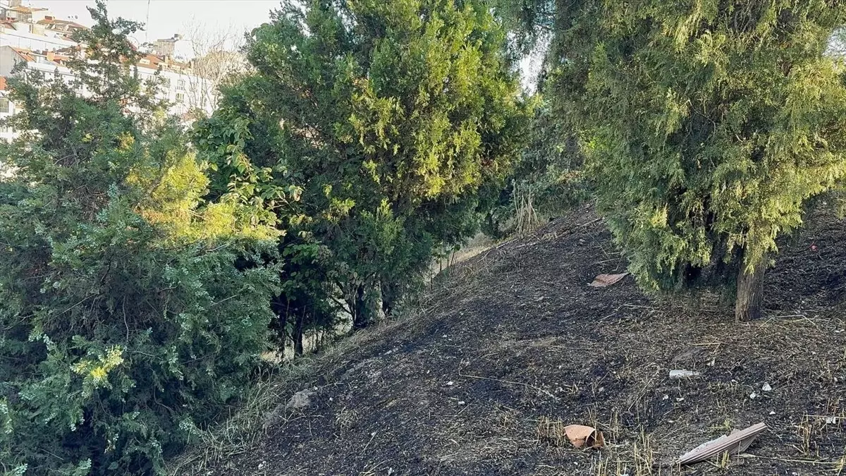 Şişli'de Ağaçlık Alanda Yangın