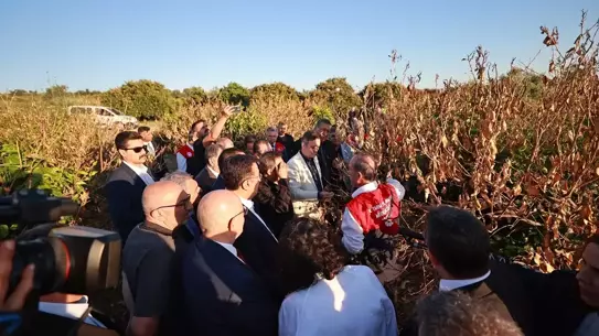 TBMM Komisyonu Mersin'de Zirai Donu İnceledi