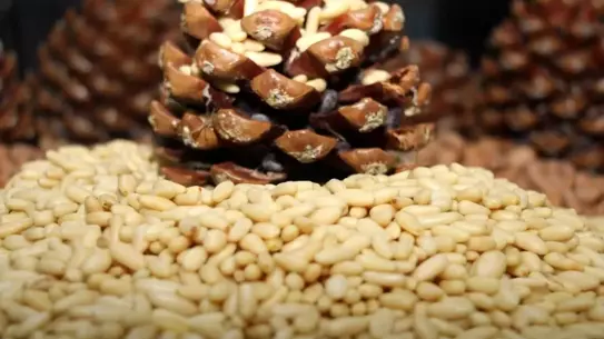 Aydın Çam Fıstığı AB Tescilini Aldı