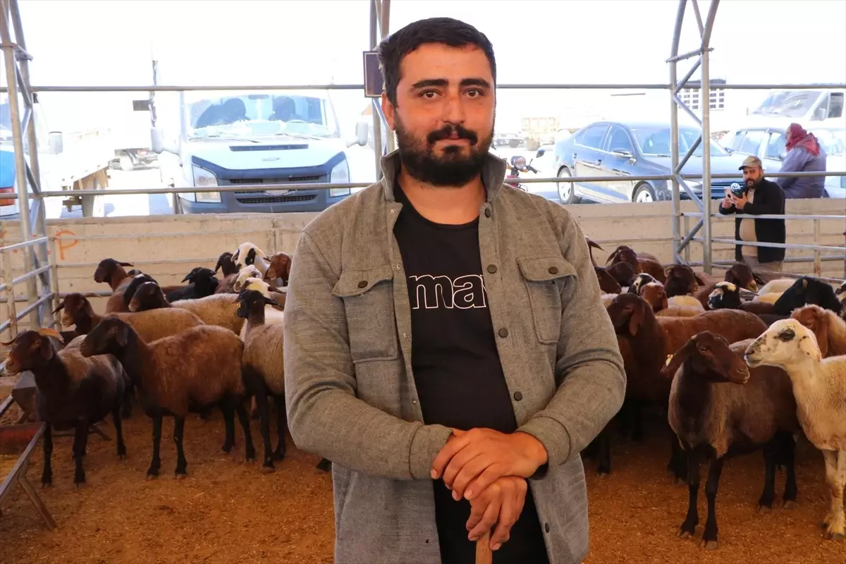 Kilis'te Kurbanlık Hayvan Pazarı Açıldı