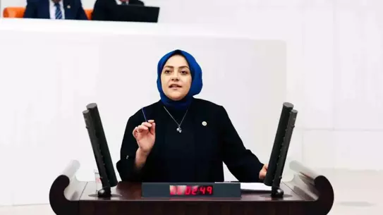 Sema Silkin Ün'den Onuncu Yargı Paketi Eleştirisi
