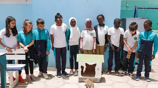 Emine Erdoğan'ın Sıfır Atık Girişimi, Senegal'de kedi evlerine ilham oldu