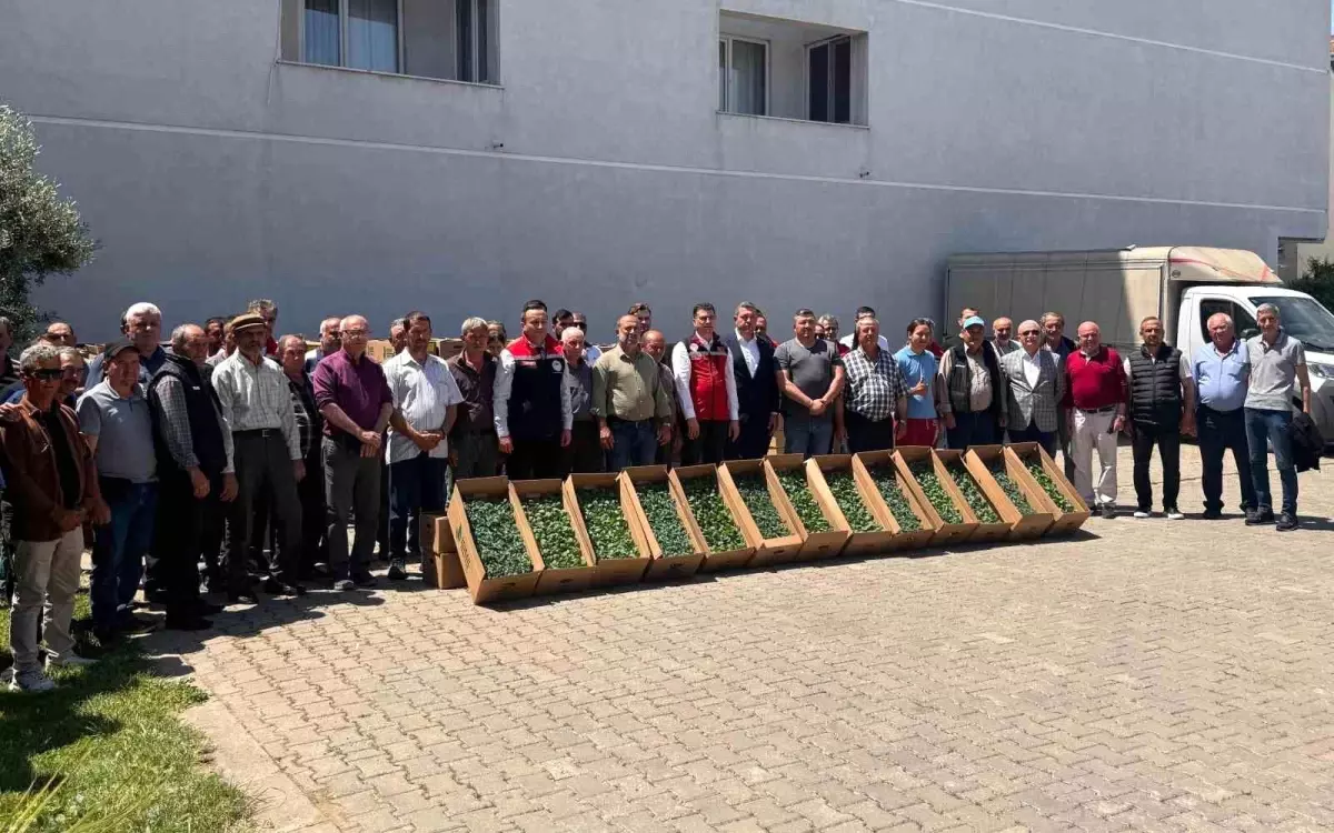 Tekirdağ'da Sebze Üretimi Artıyor