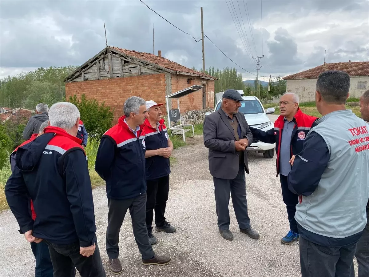 Tokat'ta Dolu Yağışı Hasar Tespit Çalışmaları Başladı