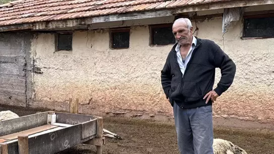 Kurtlar, Kırıkkale'de 18 Küçükbaş Hayvanı Telef Etti
