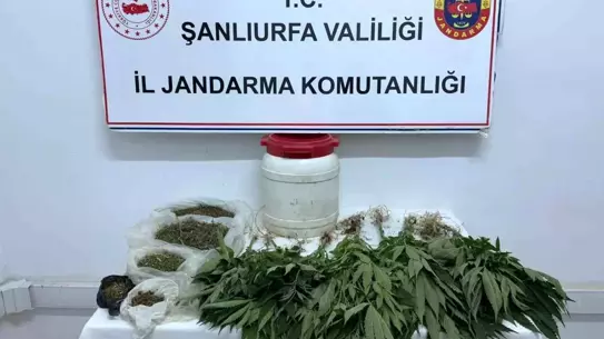 Şanlıurfa'da Uyuşturucu Operasyonu
