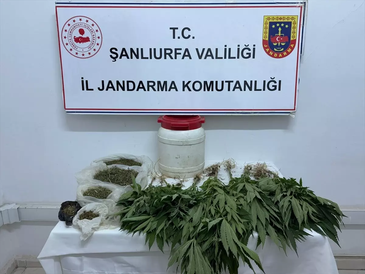 Suruç'ta Uyuşturucu Operasyonu