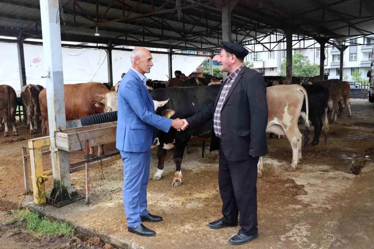 Ordu'da Kurban Bayramı Hazırlıkları Tamamlandı
