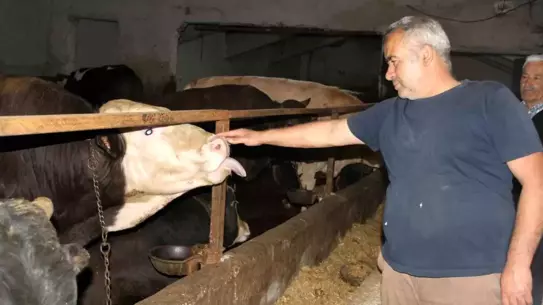 Ankaralılar Kurban İçin Çankırı'yı Tercih Ediyor