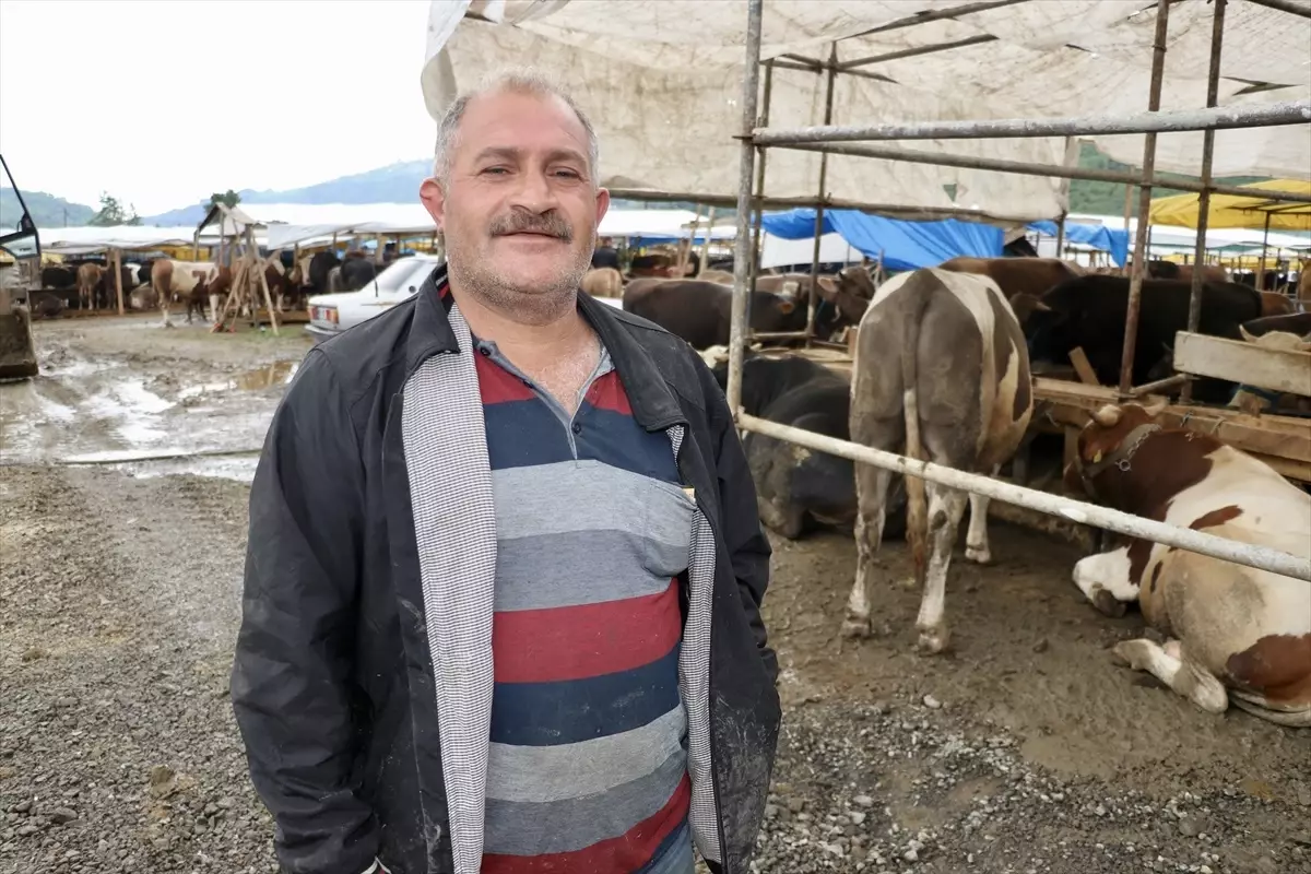 Trabzon'da Kurbanlık Satışları İyi Gitti