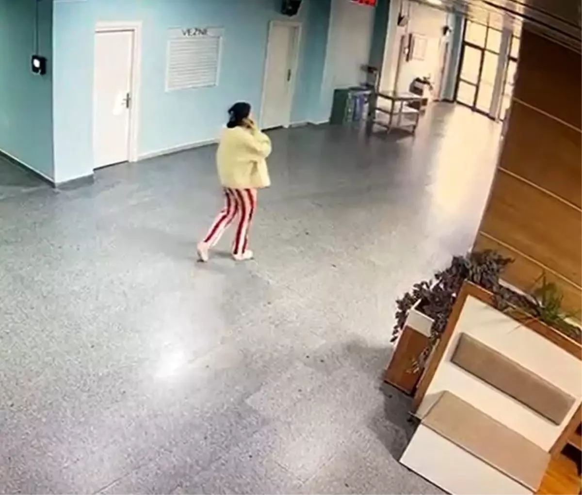Arnavutköy'de Bebek Cesedi ve Şüpheli Tutuklamaları