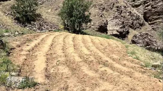 Bingöl'de Uyuşturucu Operasyonu