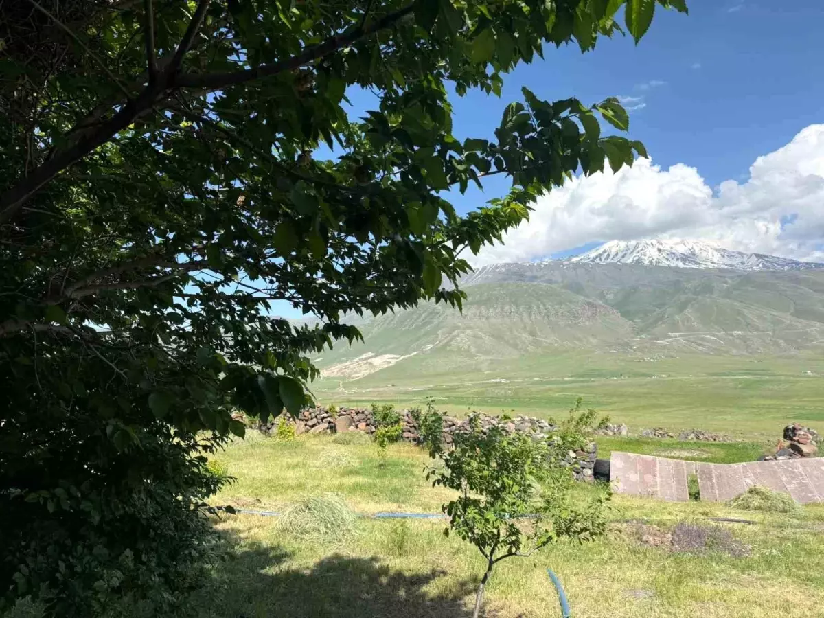 Karagüney Köyü'nde Ağaç Dikimi Başarıyla Gerçekleşti