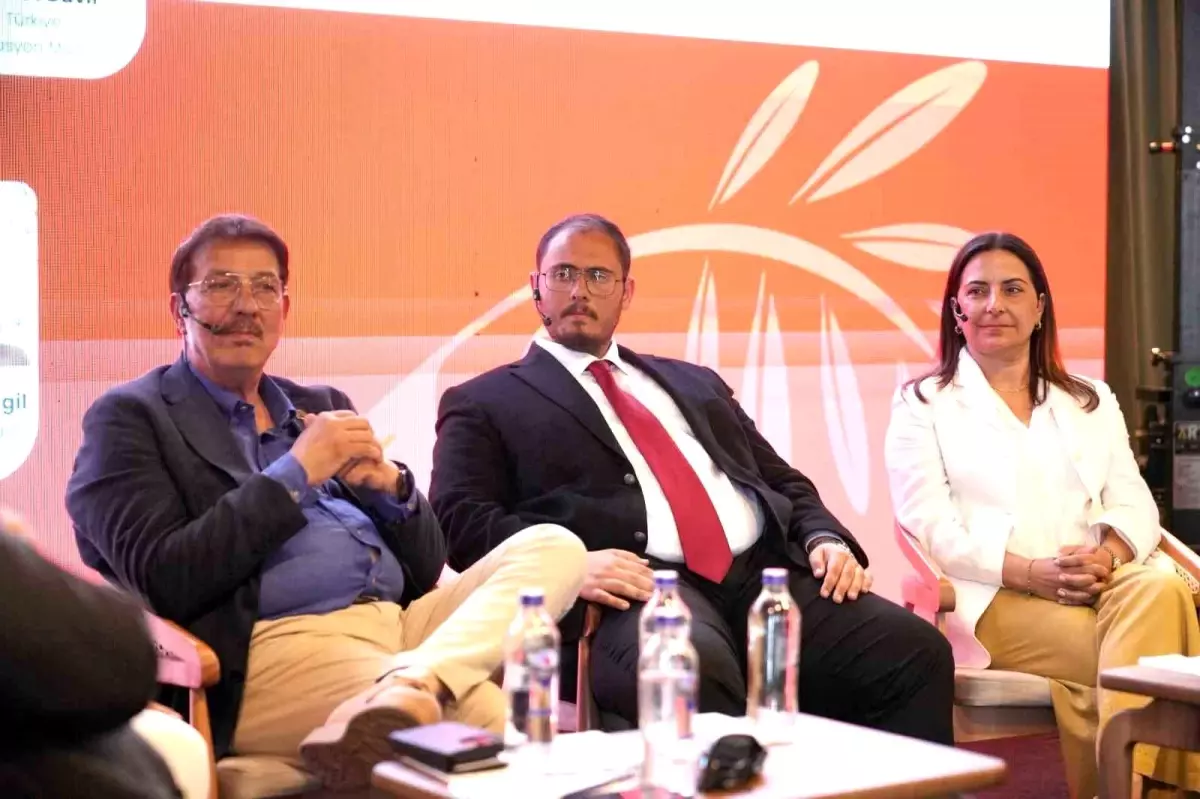 Zeytinyağı Fiyatları 2026'da Düşebilir